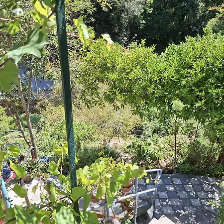 Le Domaine Des Bellevesasses Menton