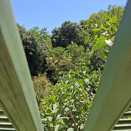Le Domaine Des Bellevesasses Menton